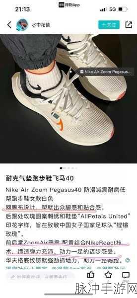 国外ZOOM免费：国外ZOOM平台推出免费服务，全新体验等你来试！