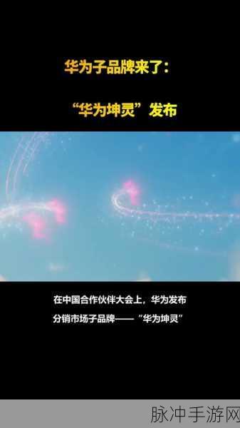 男坤升到女坤定眼：男坤升华为女坤，探索性别与自我的新视界
