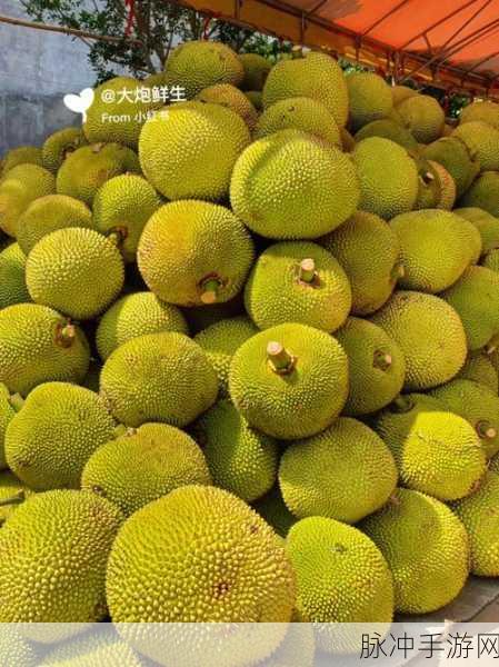 菠萝蜜视频入库：探索菠萝蜜的美味世界：从种植到美食制作全记录