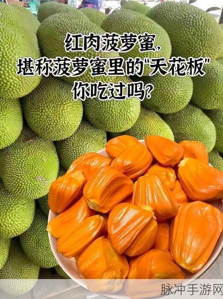 菠萝蜜视频入库：探索菠萝蜜的美味世界：从种植到美食制作全记录