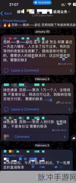 缅甸北部恐怖网站www免费：缅甸北部恐怖网站揭示背后的黑暗真相与历史根源
