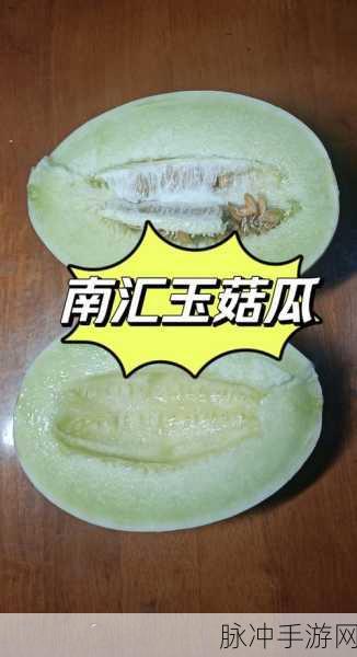 17c吃瓜官网黑料爆料蘑菇：揭秘17c吃瓜官网黑料，蘑菇内幕大曝光！