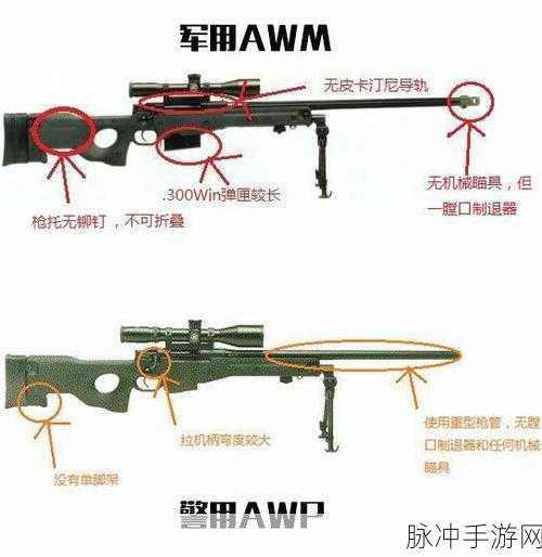 日本csgo大姐姐awp：在日本，CSGO大姐姐用AWP展现绝妙射击技巧！