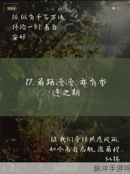 打开你会回来感谢我的2024：未来的你将因我的帮助而感激不已，2024年再见！