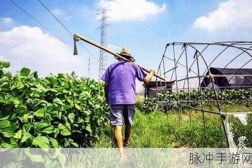 趁父亲不在子代父职耕亩田：趁父亲不在，子女勇担家业耕作田地
