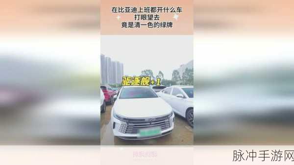 x9x9x9x9任意槽2024国外：“2024年海外拓展新机会：解锁无限可能的x9x9x9项目”