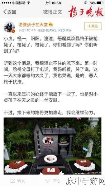 保姆纵火枪毙前说墙上有秘密：保姆纵火前留下神秘暗示：墙上隐藏的秘密真相揭秘