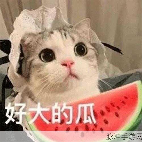 五一吃瓜-近日：五一假期吃瓜热潮再度升温，舌尖上的欢乐无限