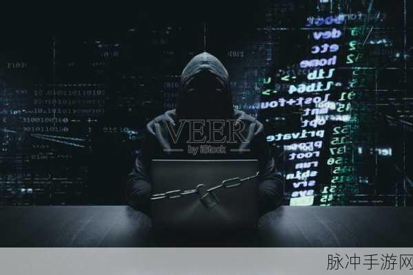 匿名黑客模拟器：无痕黑客：潜入网络世界的匿名追踪者模拟器