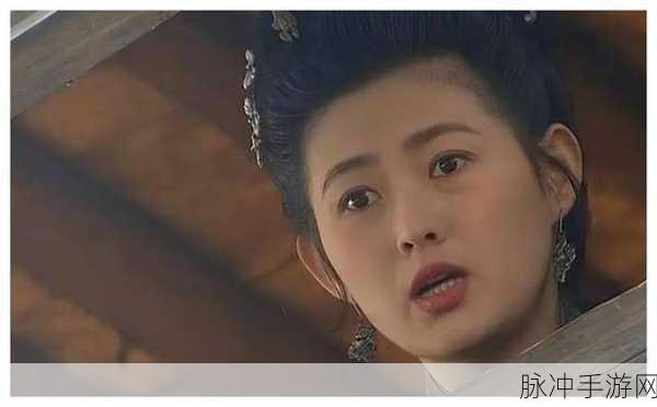 欧美精品久久久久久久潘金莲：潘金莲的传奇故事：古典美与现代情感交织