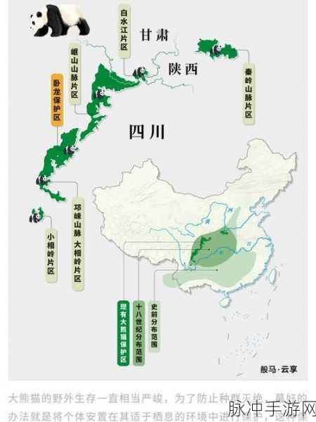 看b站直播间户外：“探索户外世界：B站直播间带你畅游自然之美！”