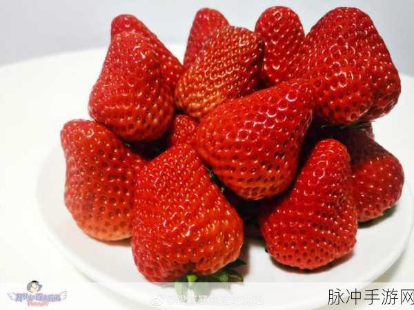 草莓色色视频：缤纷草莓色魅力：探索甜美视觉盛宴的奇妙旅程