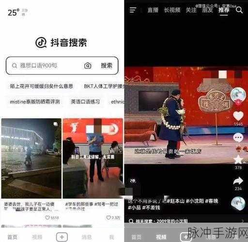 富二代抖音成人：探索富二代生活：抖音短视频中的奢华与挑战