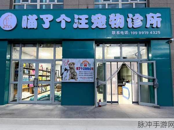 yw193龙物失联来源：揭开YW193龙物失联之谜的背后真相与影响
