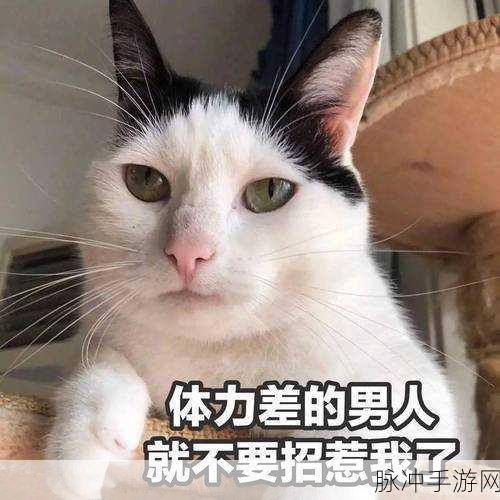 污软件破解版：破解拓展污软件的全新版本，尽享无限畅玩体验！