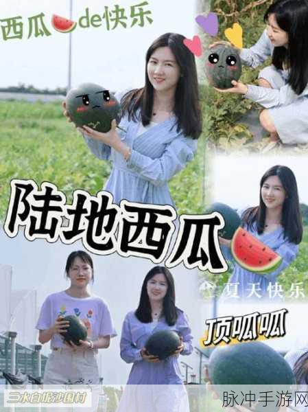 51大赛每日吃瓜视频：“每日吃瓜大赛：精彩瞬间与意想不到的反转故事”