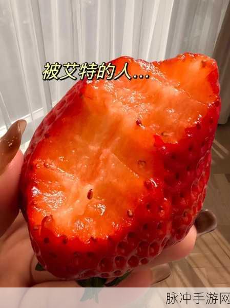 老板草莓无限次数观看：无限次观看老板草莓：畅享无尽乐趣与惊喜
