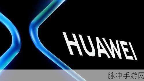 8x8x海外华为永久：“全球化战略下的华为：8x8x海外市场布局与发展”