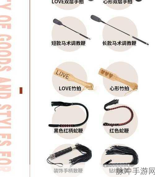 金牌惩戒师SP实验教程：全面提升金牌惩戒师技能的实用实验教程
