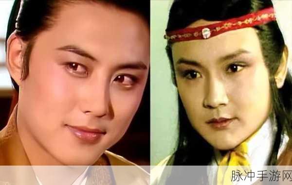贾宝玉王熙凤轿中大战第六回：贾宝玉与王熙凤轿中激斗探秘情深缘浅
