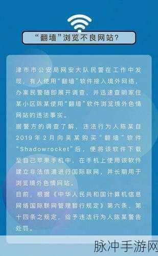 不良网站暗网下载软件：警惕暗网不良网站下载软件的潜在风险与危害