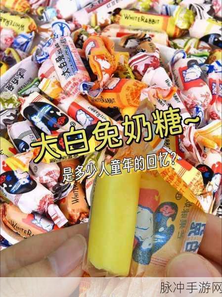 老师的大白兔在衣服里面一抖一抖：拓展老师的神秘大白兔在衣服里欢快舞动