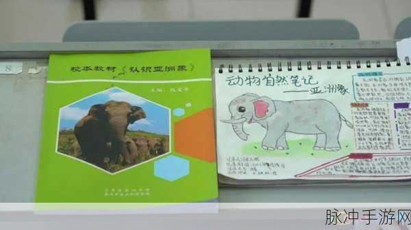 国精产品一二四区大象：“增强国精产品市场拓展，聚焦一二四区大象战略”