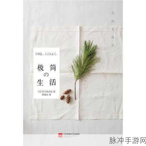简pv：简约之美：探寻生活中的极致简单与深度意义