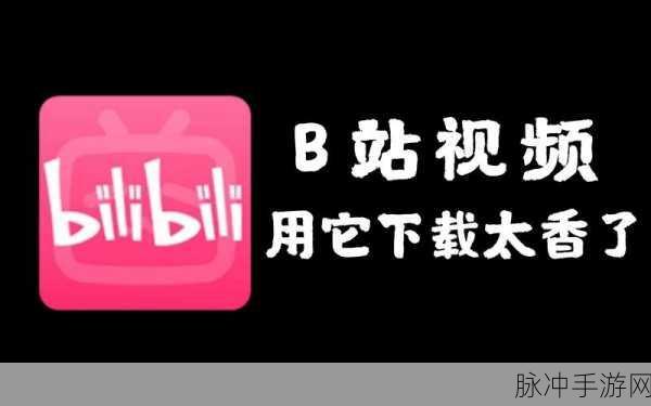b站禁止转播(404)软件下载：关于B站禁止转播的软件下载与政策解读探讨