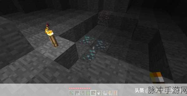 成品网源码78W78的特点：拓展成品网源码78W78的独特优势与应用前景分析
