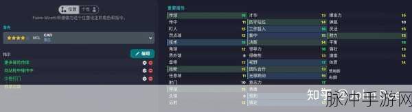 fm2012 妖人前锋：FM2012妖人前锋：征服绿茵场的未来之星