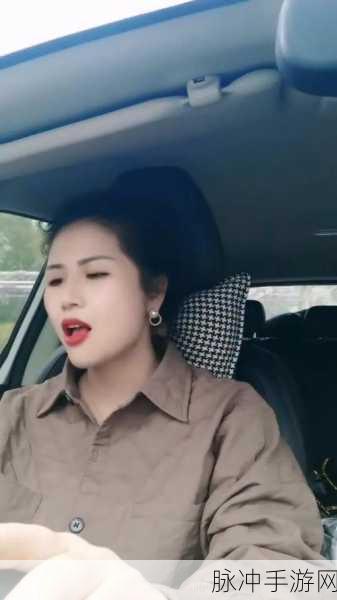 暴躁老阿姨：暴躁老阿姨的生活哲学：如何优雅应对烦人事