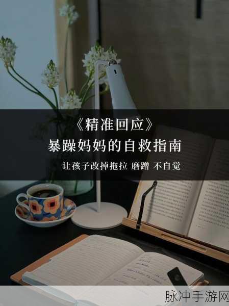 暴躁老阿姨：暴躁老阿姨的生活哲学：如何优雅应对烦人事