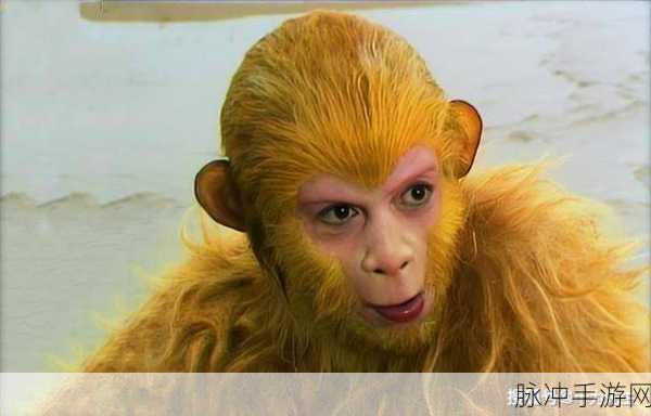 二人生猴子免费观看：全网热播：无删减版二人生猴子免费观看