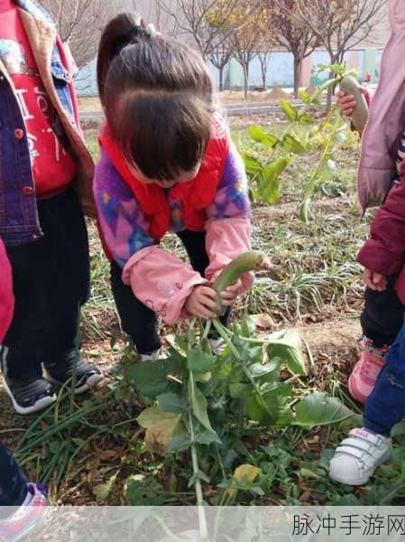 吻戏拔萝卜原声：甜蜜情缘：浪漫吻戏与拔萝卜的奇妙结合