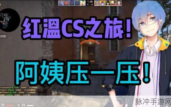 CSGO暴躁老姐的CSGO心得分享：暴躁老姐的CSGO秘籍：从新手到高手的成长之路