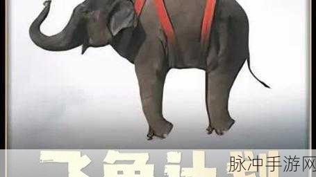 大像影视：大像影视：打造视觉盛宴，呈现影像艺术之美
