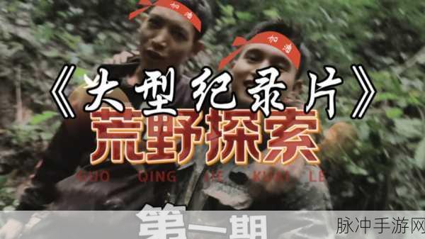 深入后室2.0版本：后室2.0版本：探索未知维度的惊险旅程与秘密