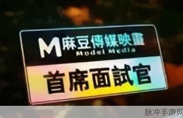 麻豆传煤入口麻：拓展麻豆传煤入口，提升能源转型新动能