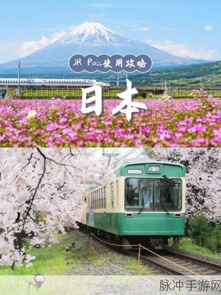 日本免费一进一出：日本免费进出景点大揭秘，畅游无忧享受假期乐趣！