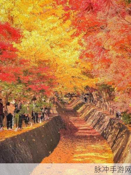 日本免费一进一出：日本免费进出景点大揭秘，畅游无忧享受假期乐趣！