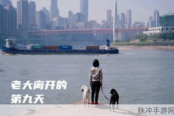 我和我家大金毛卡住后怎么自救：遇到大金毛卡住后的自救技巧与应对方法