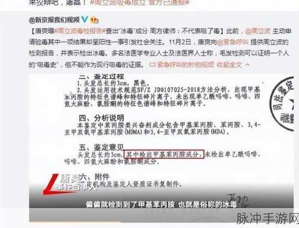 91破解：破解91系统的秘密，揭示隐藏在背后的真相与技巧