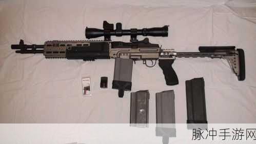 SKS和mk14：探索SKS与MK14步枪的历史、特点及其在现代战争中的应用