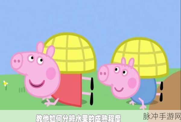 草莓视频ios小猪视频：探索草莓视频与小猪视频：畅享精彩影视新体验