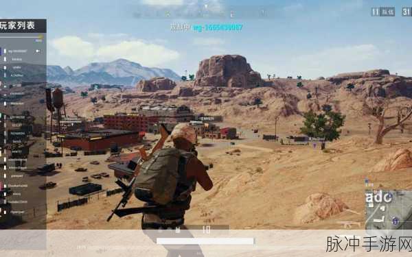 pubg挂哥被抓：PUBG外挂玩家被抓，游戏公正性再次引发热议
