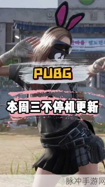 pubg挂哥被抓：PUBG外挂玩家被抓，游戏公正性再次引发热议