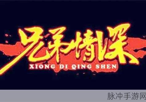 兄弟前后1v3：“兄弟情深，逆境中携手挑战1v3的精彩瞬间”