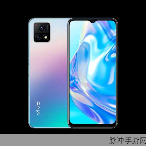 一级成色好的y31s标准版：全新升级的高品质Y31s标准版，性能与外观完美结合！