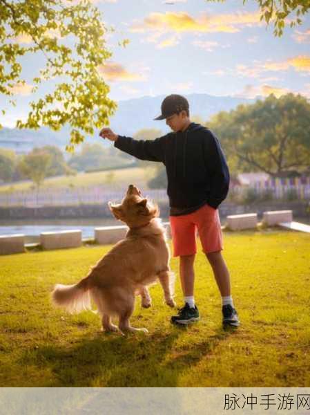 女人口述与宠物高潮：女性的情感故事与宠物陪伴带来的愉悦体验